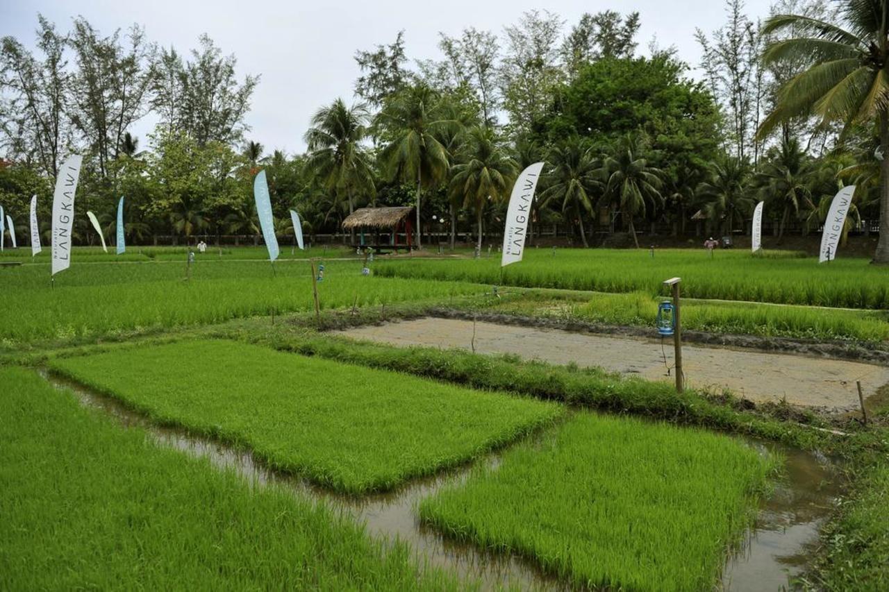 The Gemalai Village Pantai Cenang  Extérieur photo