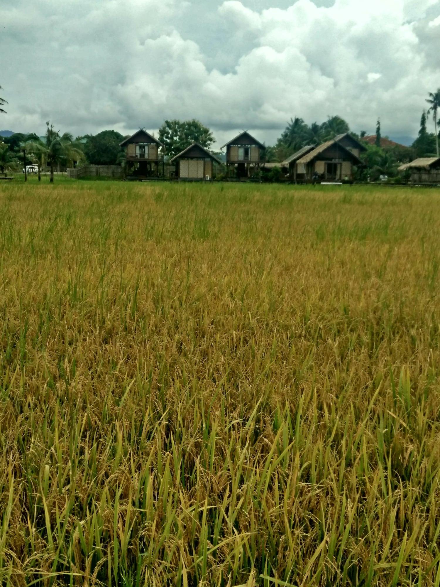 The Gemalai Village Pantai Cenang  Extérieur photo