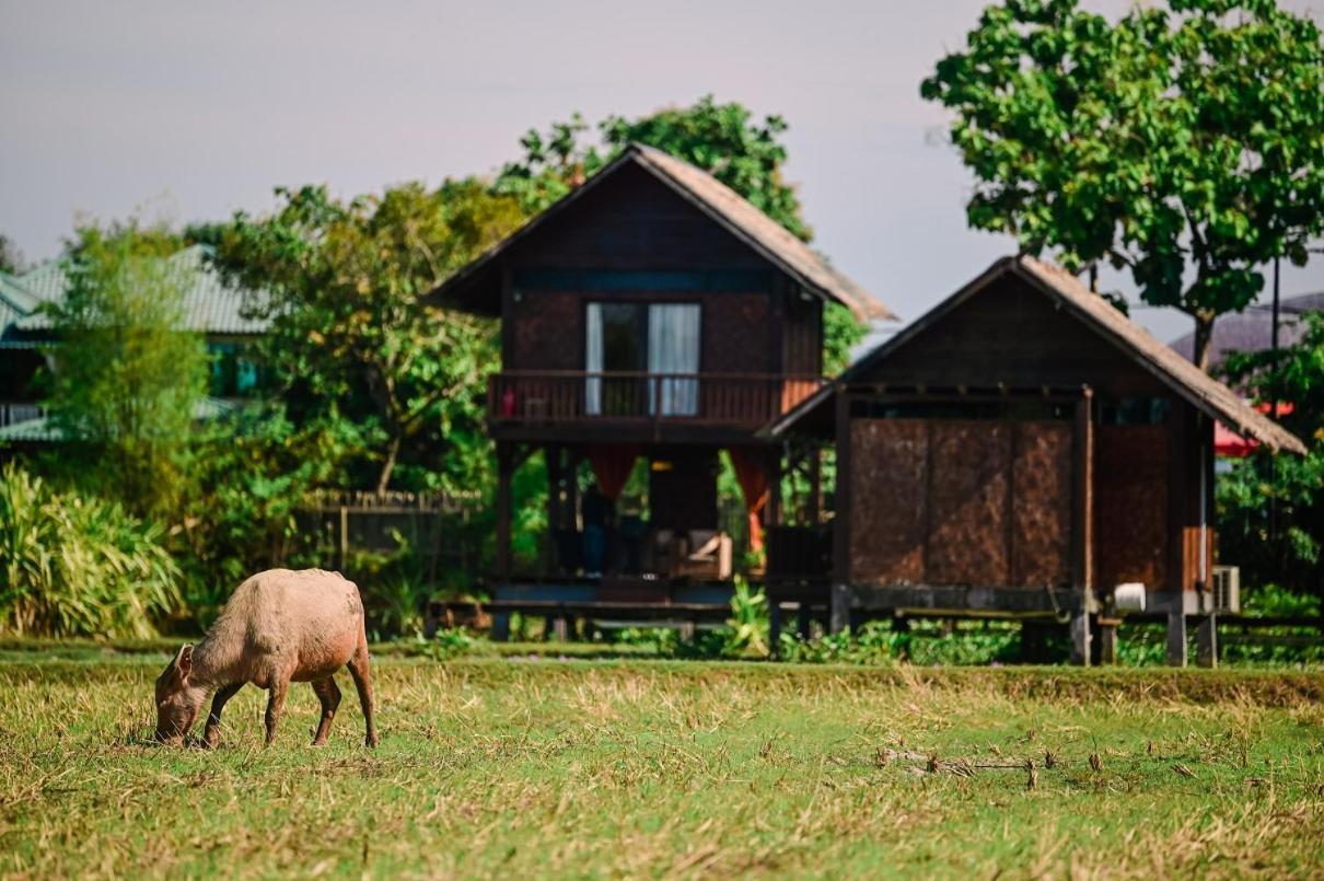 The Gemalai Village Pantai Cenang  Extérieur photo