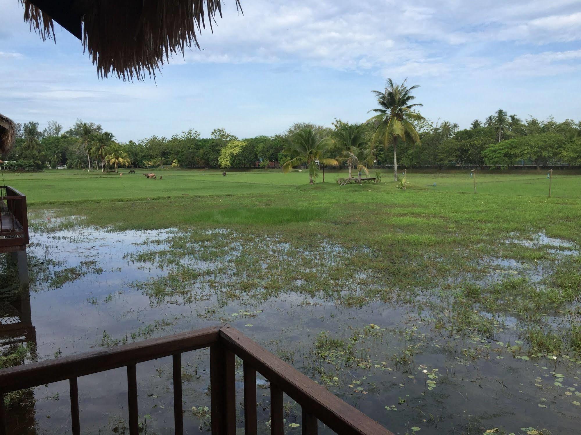 The Gemalai Village Pantai Cenang  Extérieur photo